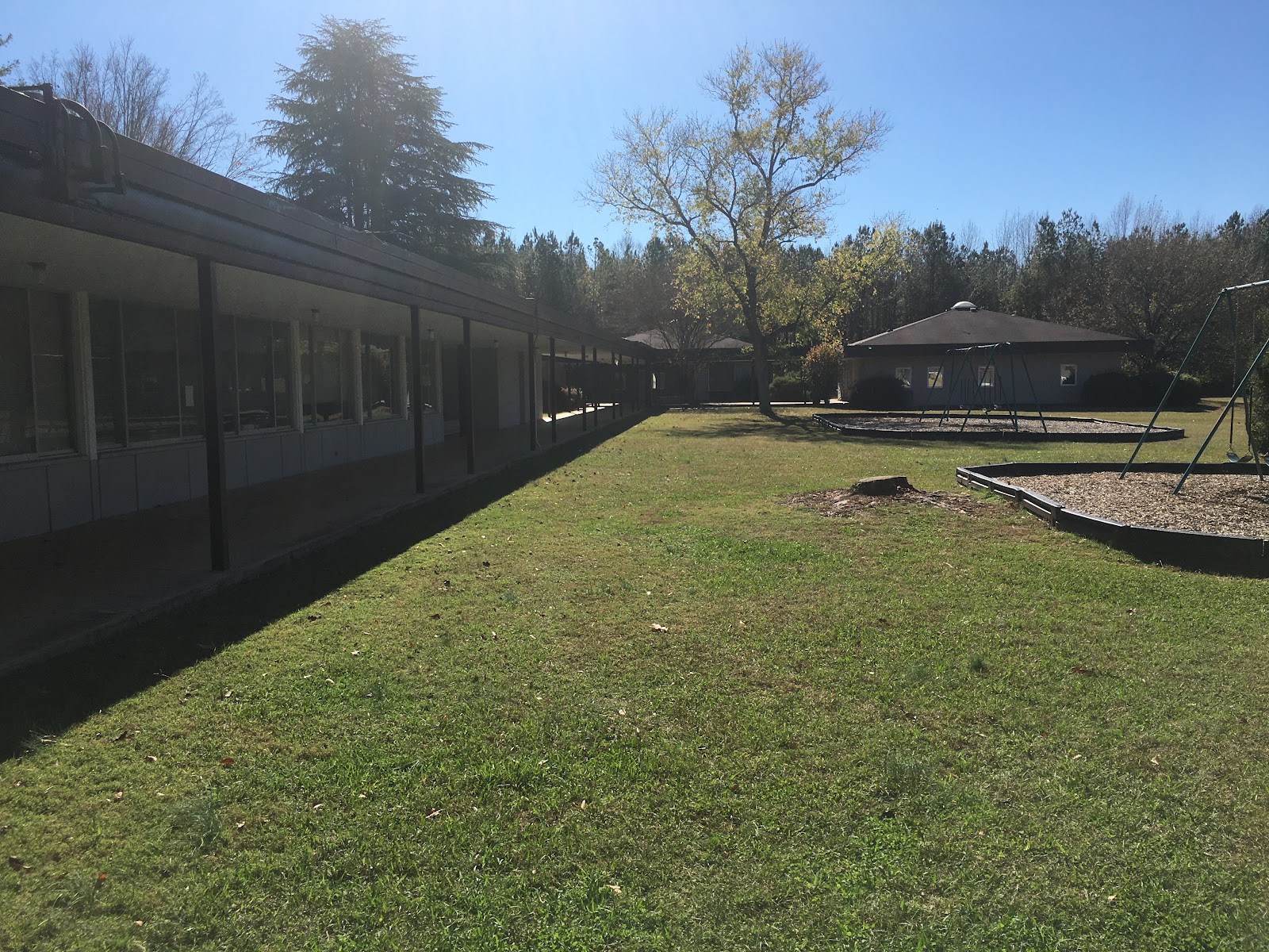 Alexander Youth Network